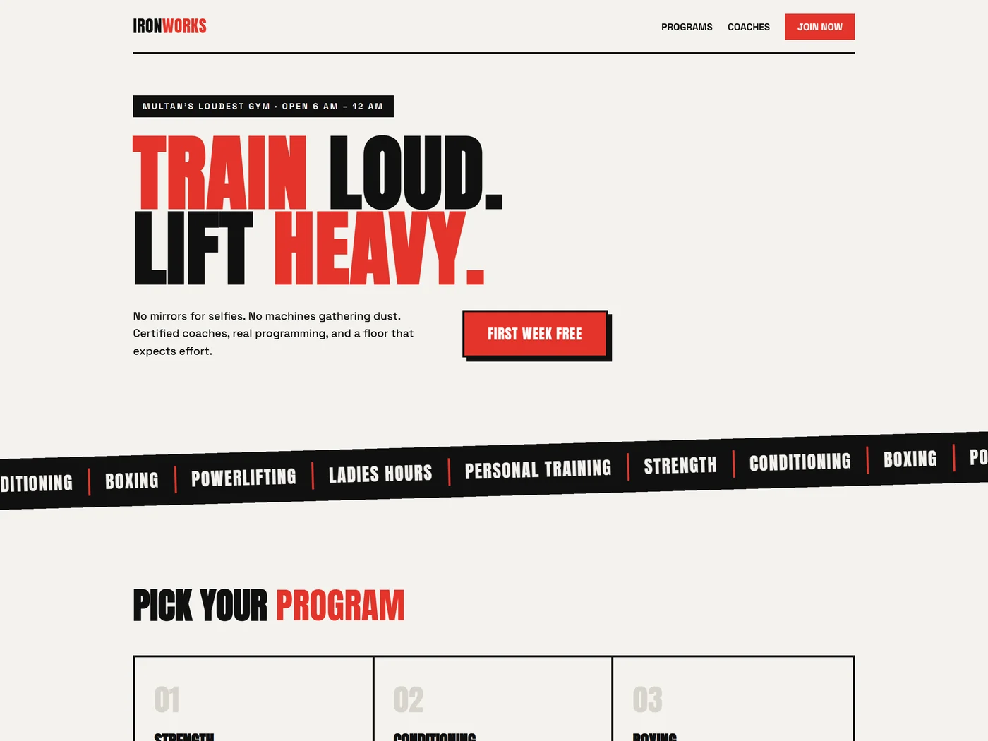 IRONWORKS — Fitness concept design
